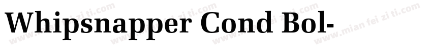 Whipsnapper Cond Bol字体转换